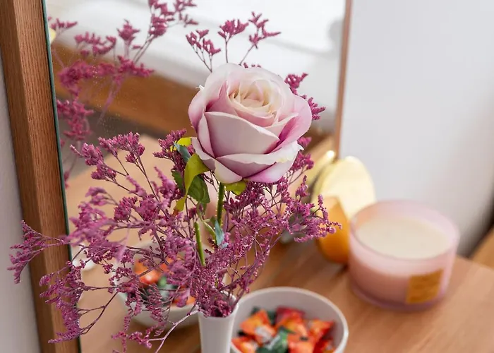 B&B Adria Blue 로크바 로고즈니차